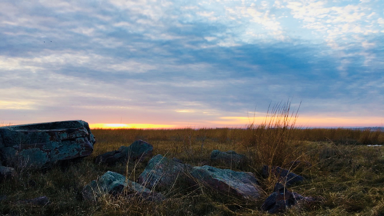 Iowa prairie landscape at sunset with golden grasslands and lichen-covered rocks